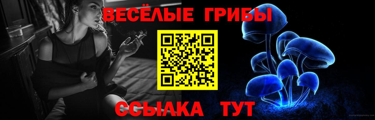 закладка  Галлюциногенные грибы GOLDEN TEACHER  Вход с VPN  Кимовск 